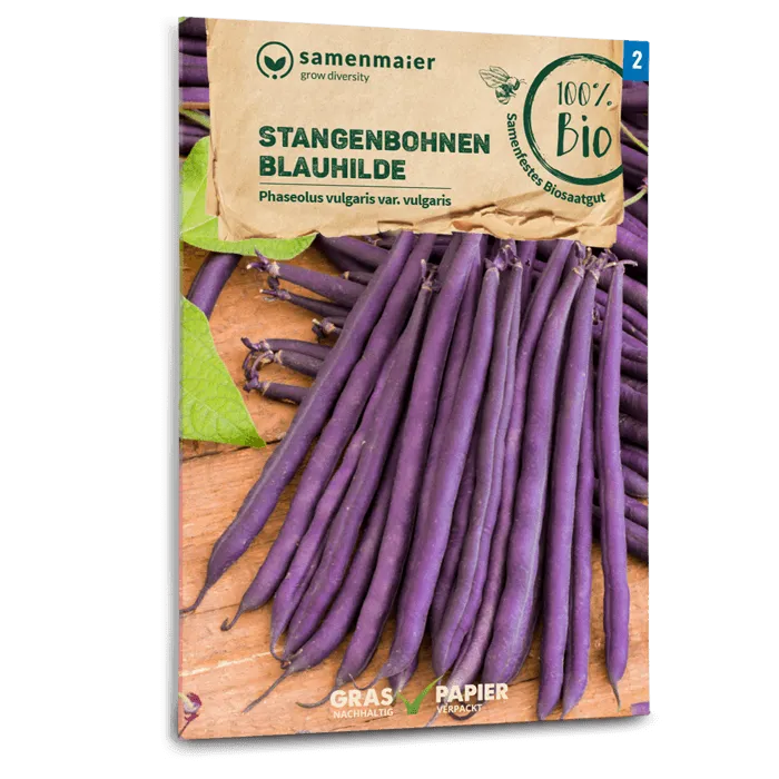 samen-maier-bio-stangenbohnen-blauhilde-bohnensamen image 1