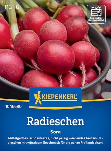 kiepenkerl-radieschensamen-sora-gem-sesaat image 7