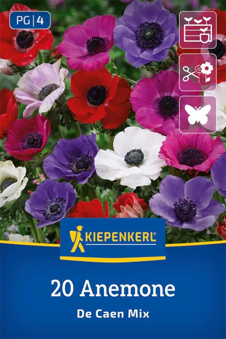 kiepenkerl-kronen-anemonen-de-caen-mischung-2775006-blumenzwiebeln image 1