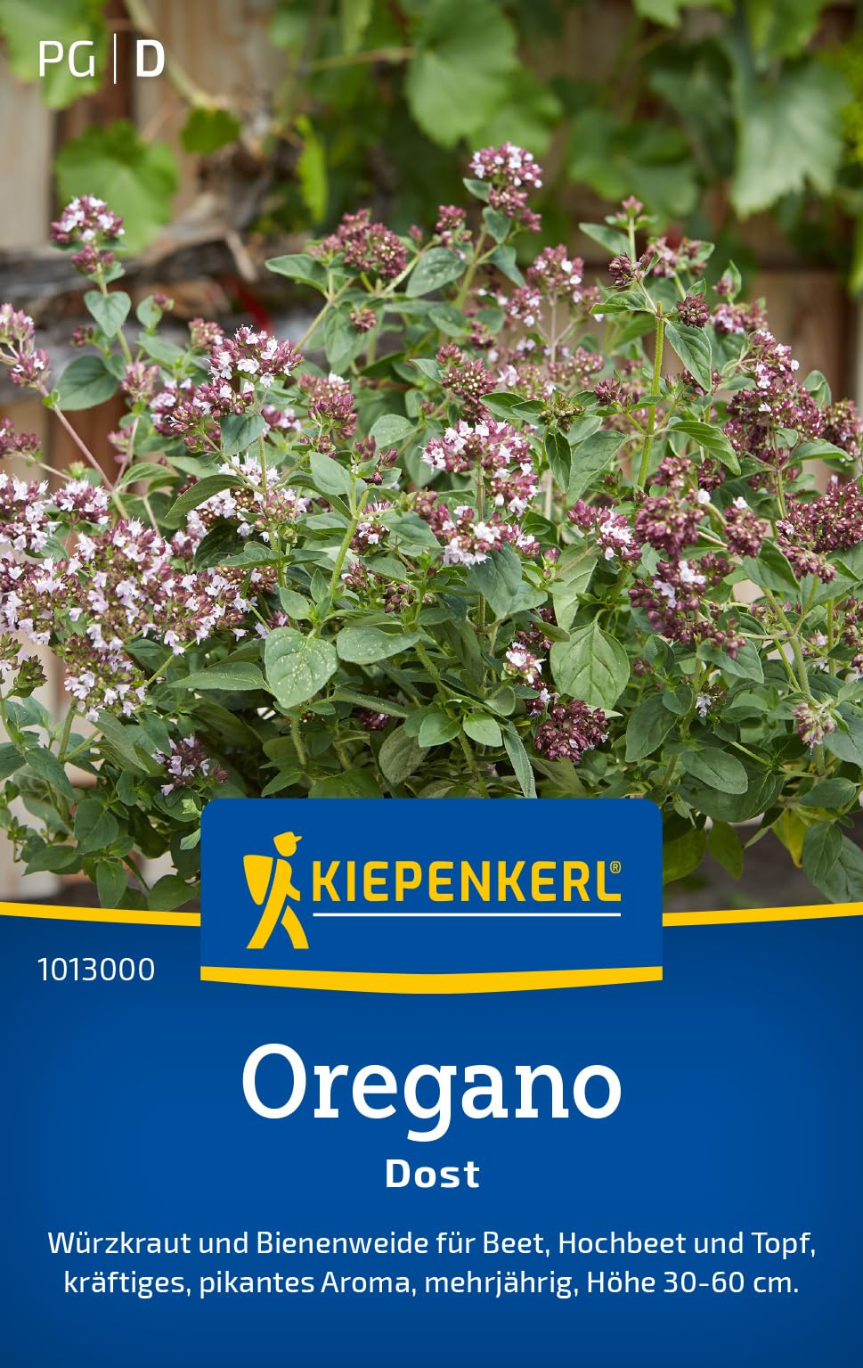 kiepenkerl-oreganosamen-dost-1013000-kr-utersaat image 1