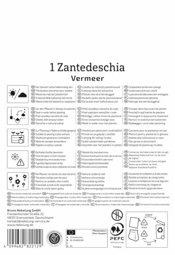 kiepenkerl-profi-line-calla-vermeer-blumenzwiebeln-wei-lila-k-belgeeignet image 8