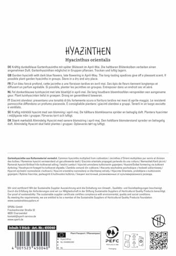 sperli-hyazinthe-blue-jacket-lilablaue-duft-hyazinthe-april-bl-te image 8