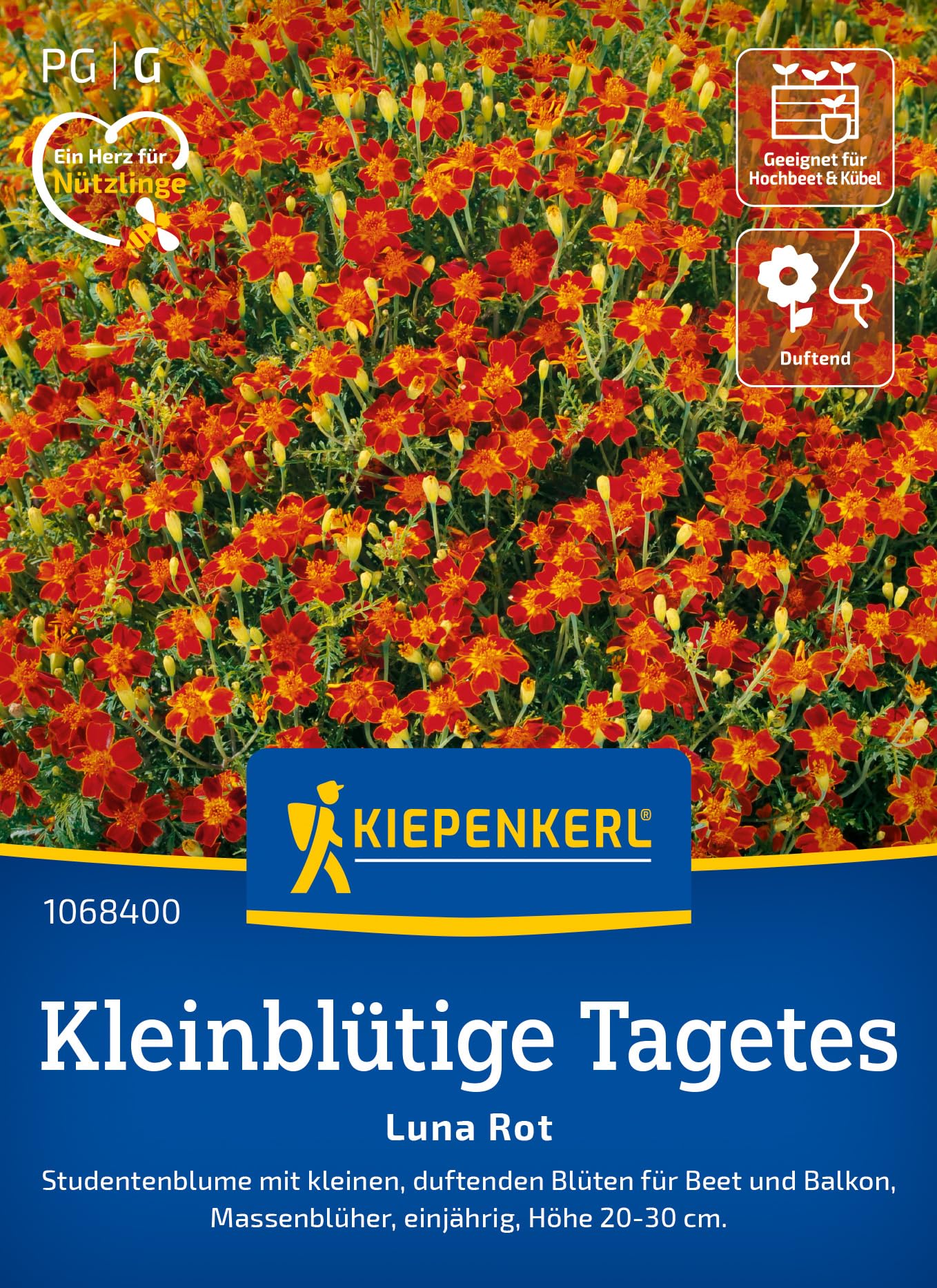 kiepenkerl-tagetes-giant-bicolour-1068120-sommerblumensaat image 6