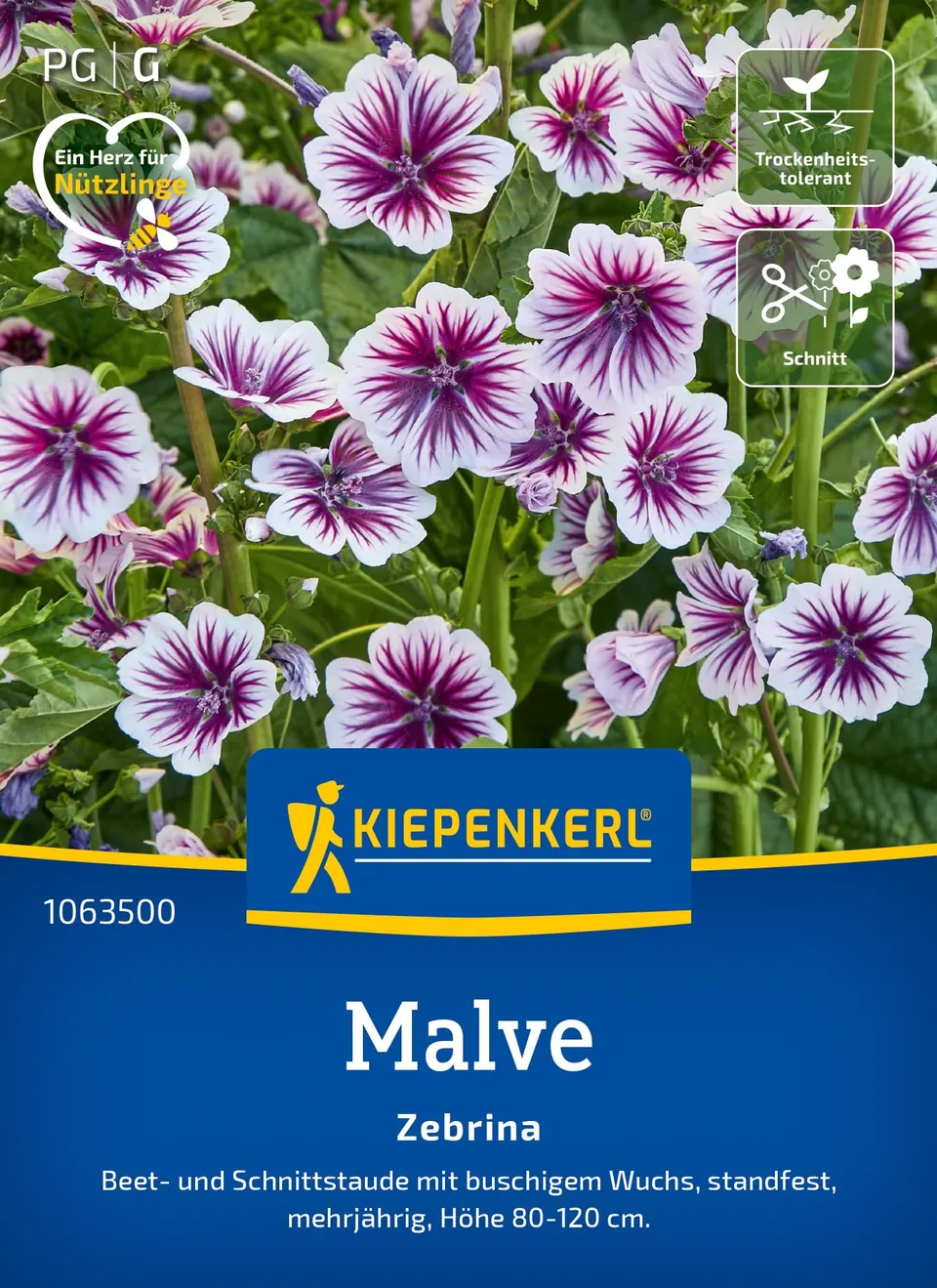 kiepenkerl-malvensamen-zebrina-1063500-blumensaat image 1