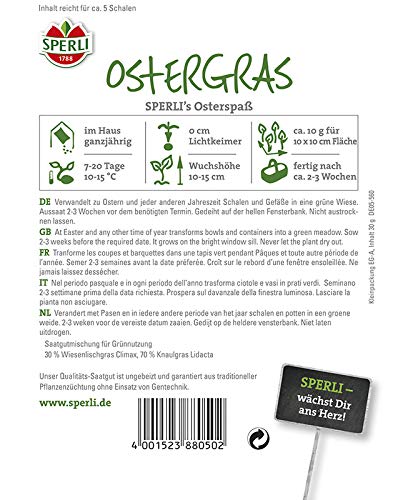sperli-ostergras-osterspa-schnellw-chsige-grassamen image 2