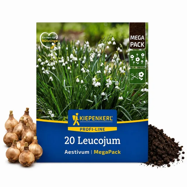 kiepenkerl-sommerknotenblume-leucojum-aestivum-mega-pack-20-pflanzen-wei image 1