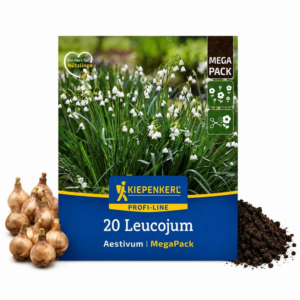 kiepenkerl-sommerknotenblume-leucojum-aestivum-mega-pack-20-pflanzen-wei image 1