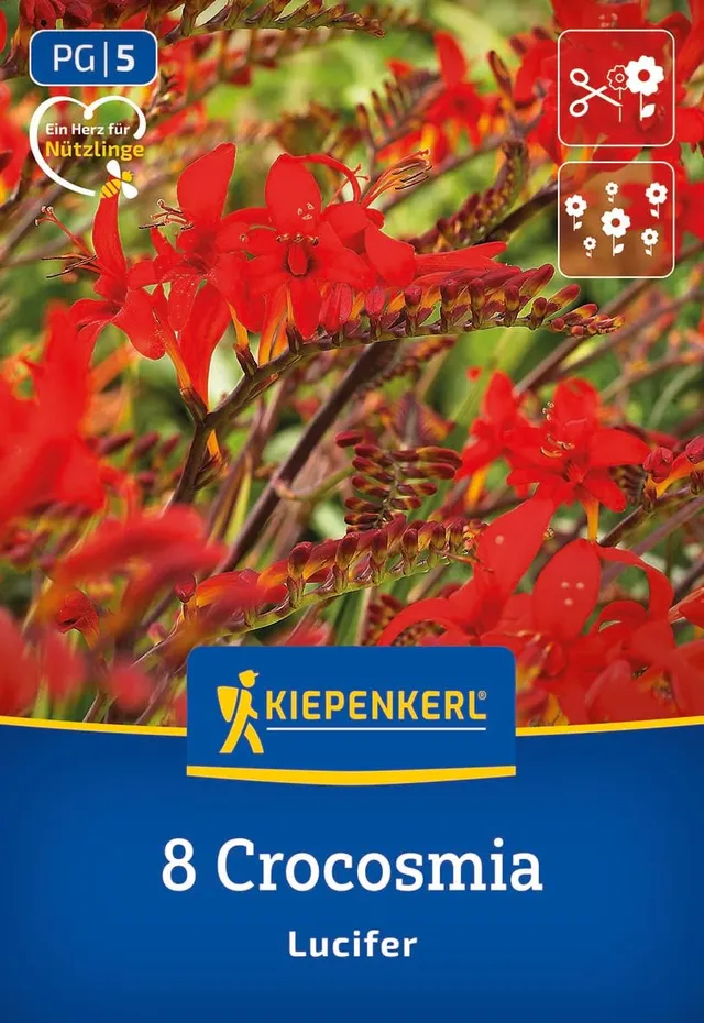 kiepenkerl-crocosmia-lucifer-3675000-blumenzwiebeln-feuerrote-montbretie image 1
