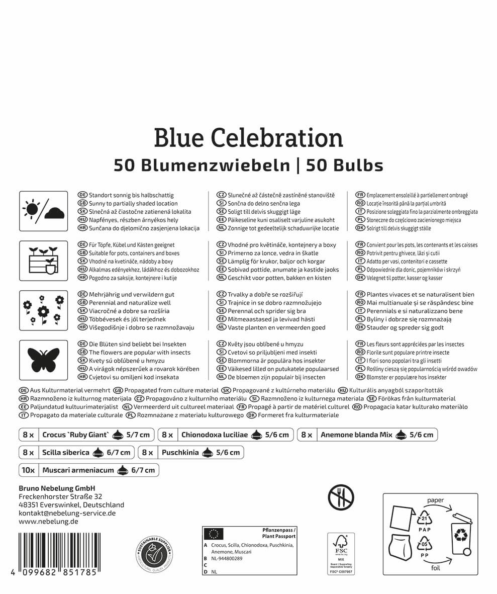 kiepenkerl-mega-pack-blue-celebration-mix-blumenzwiebelmischung-blau-10-25-cm image 2