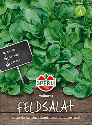 sperli-premium-feldsalat-vollhart-3-samen-82668 image 5