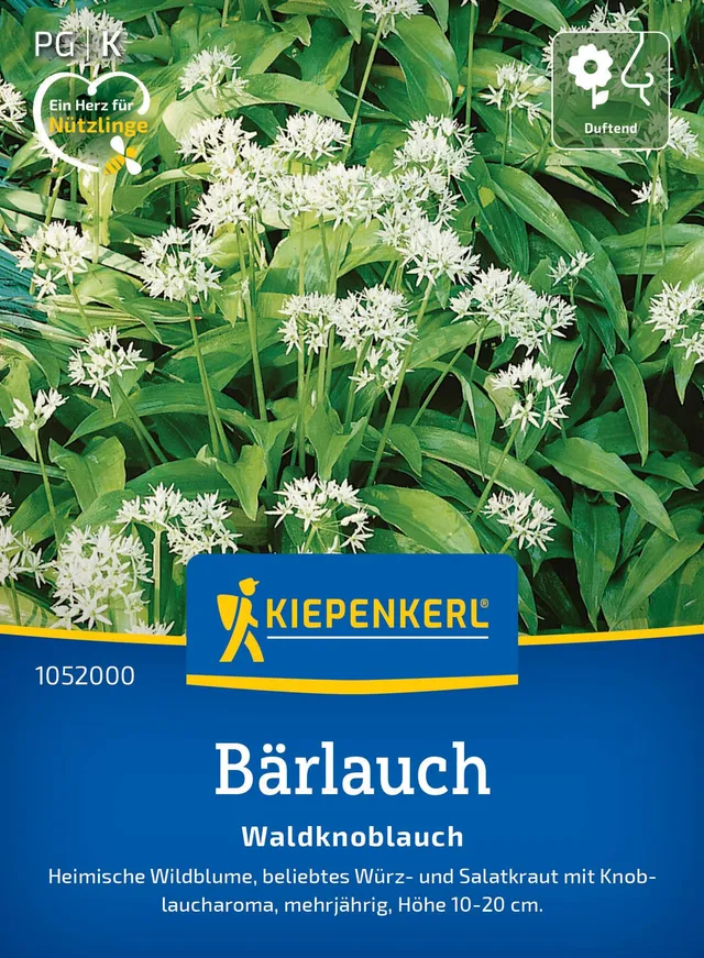 kiepenkerl-b-rlauch-waldknoblauch-kr-utersaatgut image 1