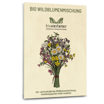 samen-maier-bio-wildblumenmischung-bl-hwiese image 3