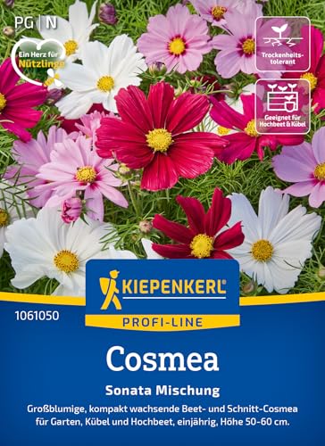 kiepenkerl-profi-line-cosmea-sonata-mischung-1061050-schmuckk-rbchen image 6