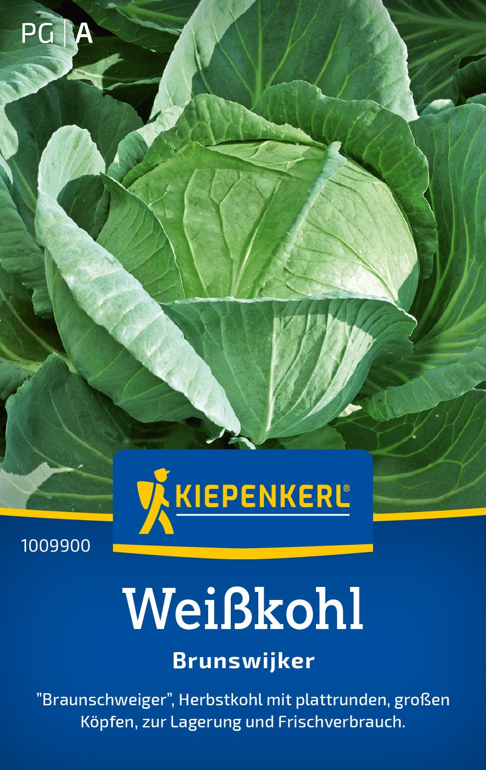 kiepenkerl-neuseel-nder-spinatsamen-tetragonia-1008050-gem-sesaat image 8