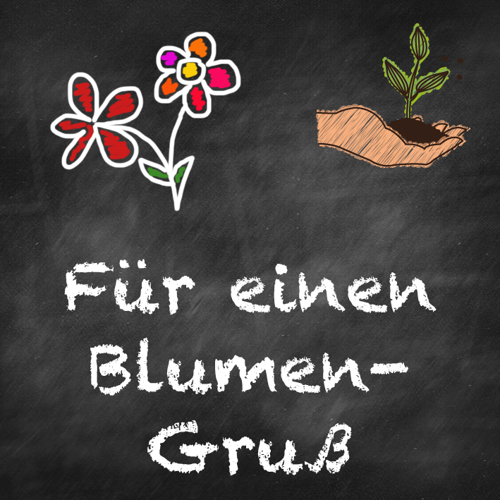 samen-maier-beet-box-f-r-einen-blumen-gru-5-sorten image 7