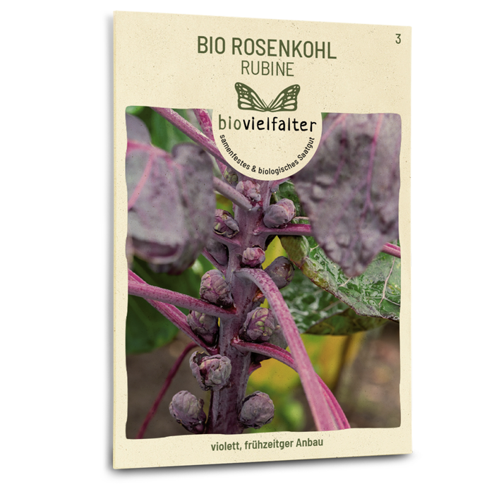 samen-maier-bio-rosenkohl-rubine-wintergem-se-saatgut image 1