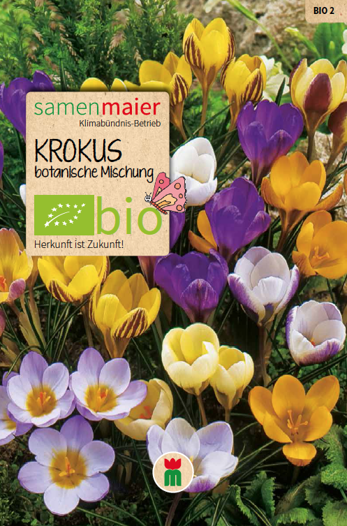samen-maier-bio-krokus-botanische-mischung-blumenzwiebeln image 1