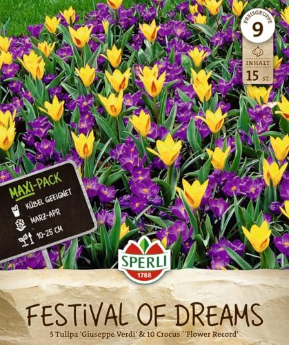sperli-maxi-festival-of-dreams-462845-blumenzwiebeln-krokus-tulpen-mischung image 7