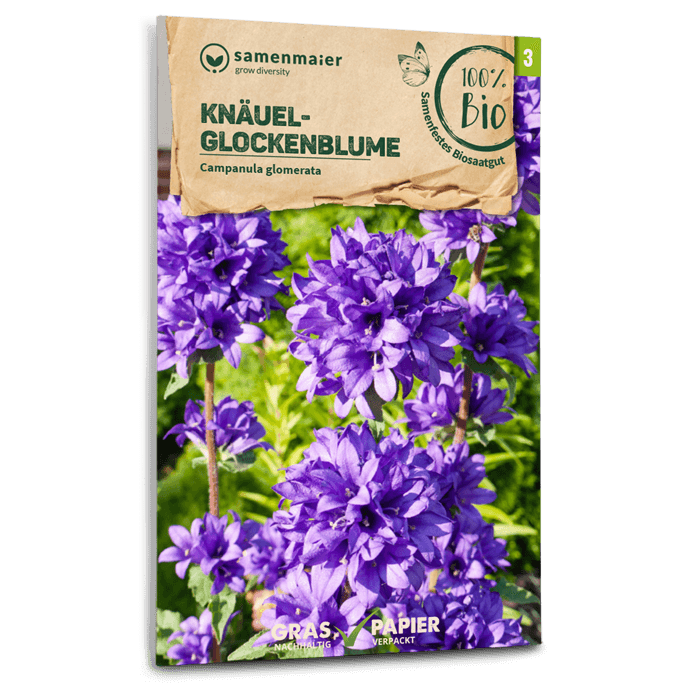 biovielfalter-bio-wildblumen-kn-uel-glockenblume-blumensamen image 1