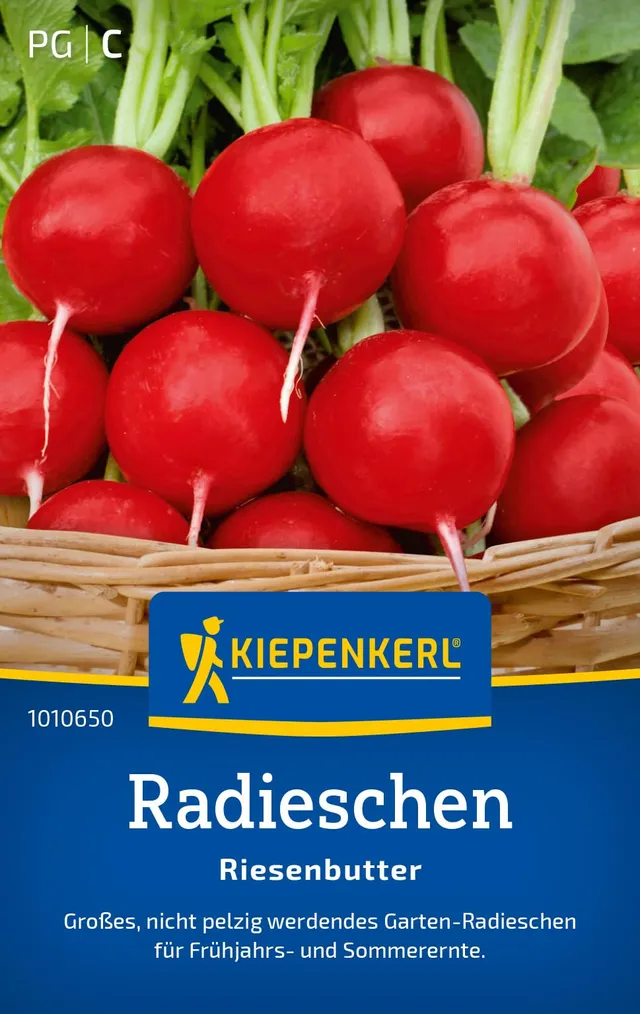 kiepenkerl-radieschensamen-riesenbutter-1010650-gem-sesaat-f-r-gro-e-knollen image 1