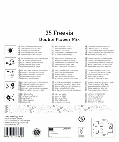 kiepenkerl-mega-pack-freesien-mischung-3825001-gef-llte-duftende-freesien-juni-o image 8