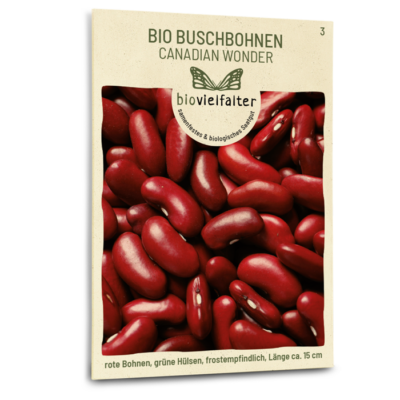 samen-maier-bio-buschbohnen-canadian-wonder-bohnen-saatgut image 3