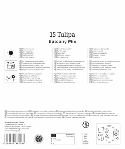 kiepenkerl-mega-pack-botanische-tulpen-balkonzauber-blumenzwiebeln-mehrbl-tig-20 image 8
