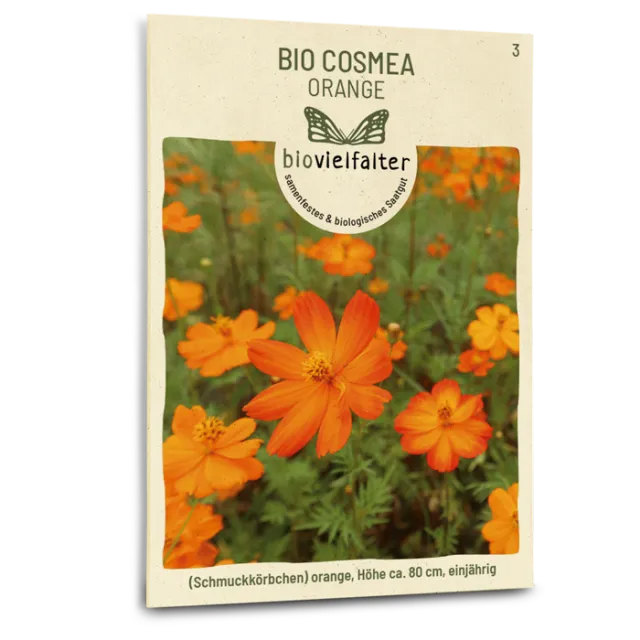 samen-maier-bio-cosmea-orange-saatgut image 1