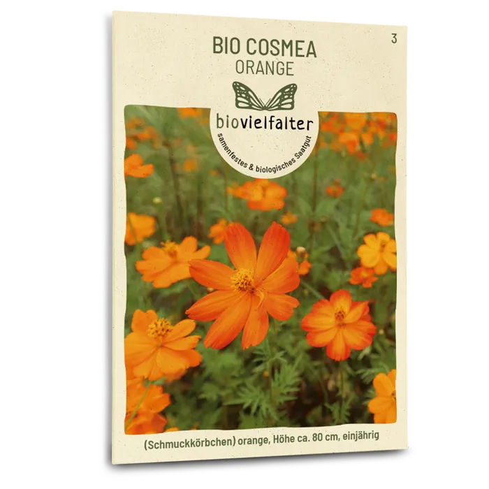 samen-maier-bio-cosmea-orange-saatgut image 1