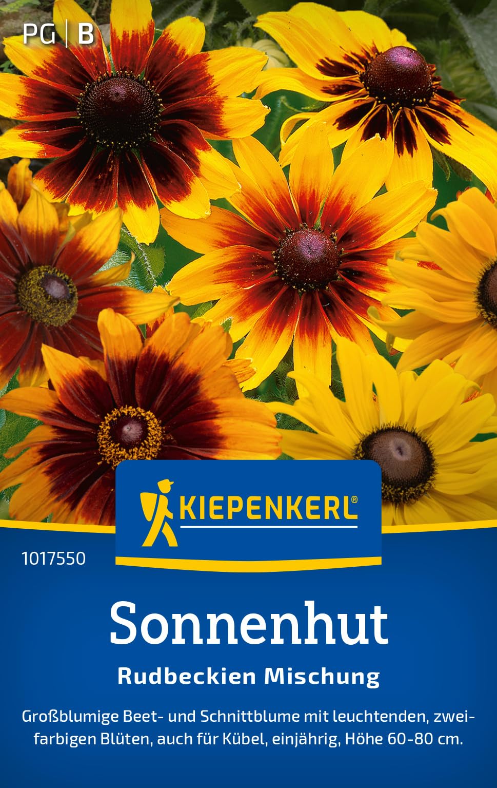 kiepenkerl-flammenblumensamen-sommer-phlox-mischung-1014700-blumensaat image 8