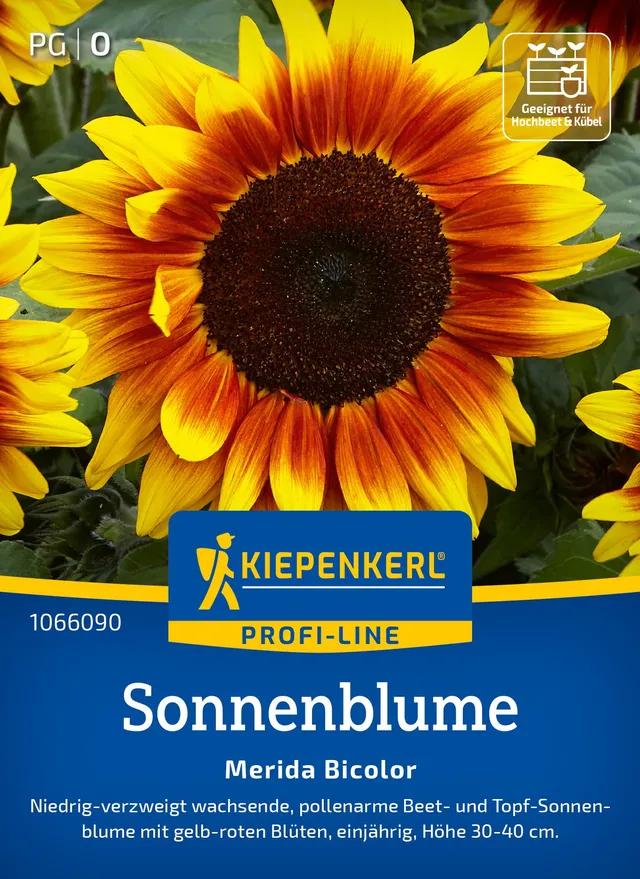kiepenkerl-sonnenblumensamen-merida-bicolor-1066090-blumensaat image 1
