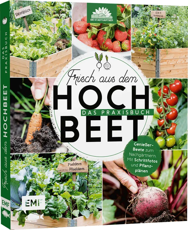 samen-maier-frisch-aus-dem-hochbeet-das-praxisbuch image 1