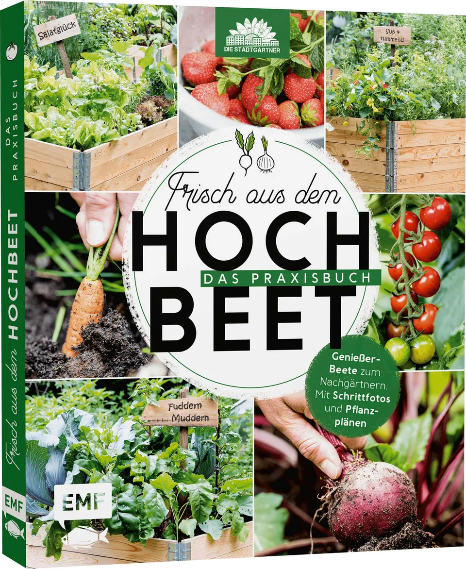 samen-maier-frisch-aus-dem-hochbeet-das-praxisbuch image 1