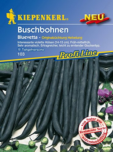 kiepenkerl-profi-line-buschbohnen-bluevetta-gem-sesaatgut image 3