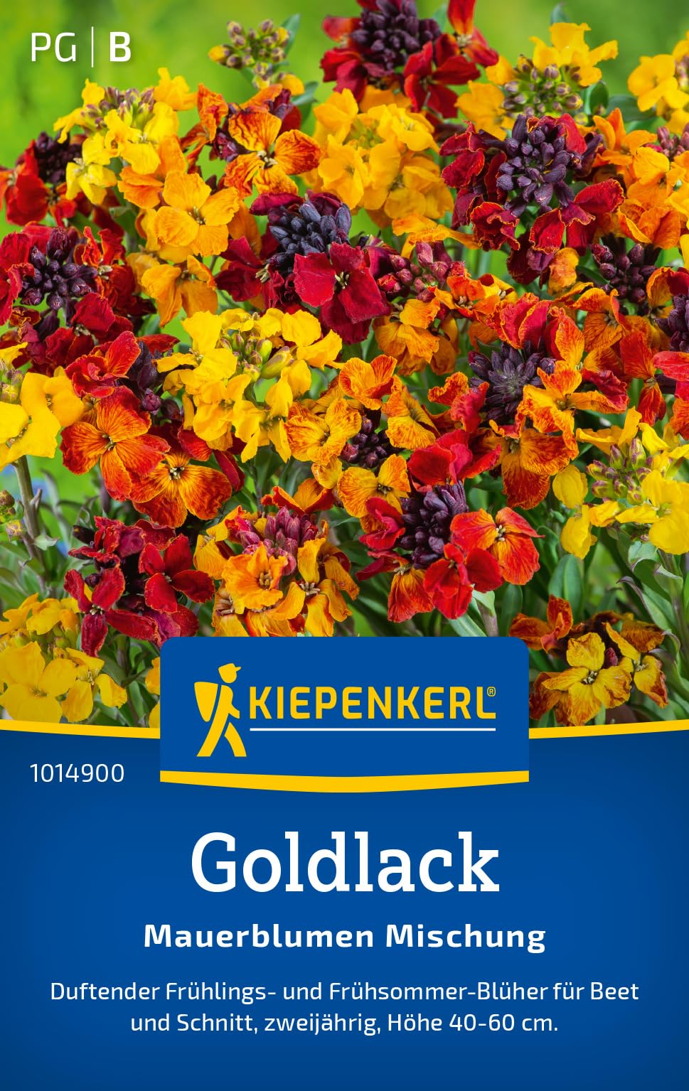 kiepenkerl-stockrosensamen-chater-s-mischung-1017850 image 6