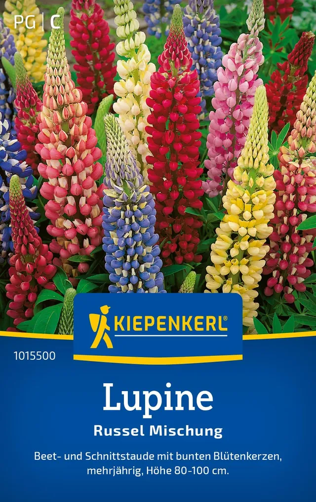 kiepenkerl-russel-lupinen-mischung-blumensamen-f-r-20-pflanzen image 1