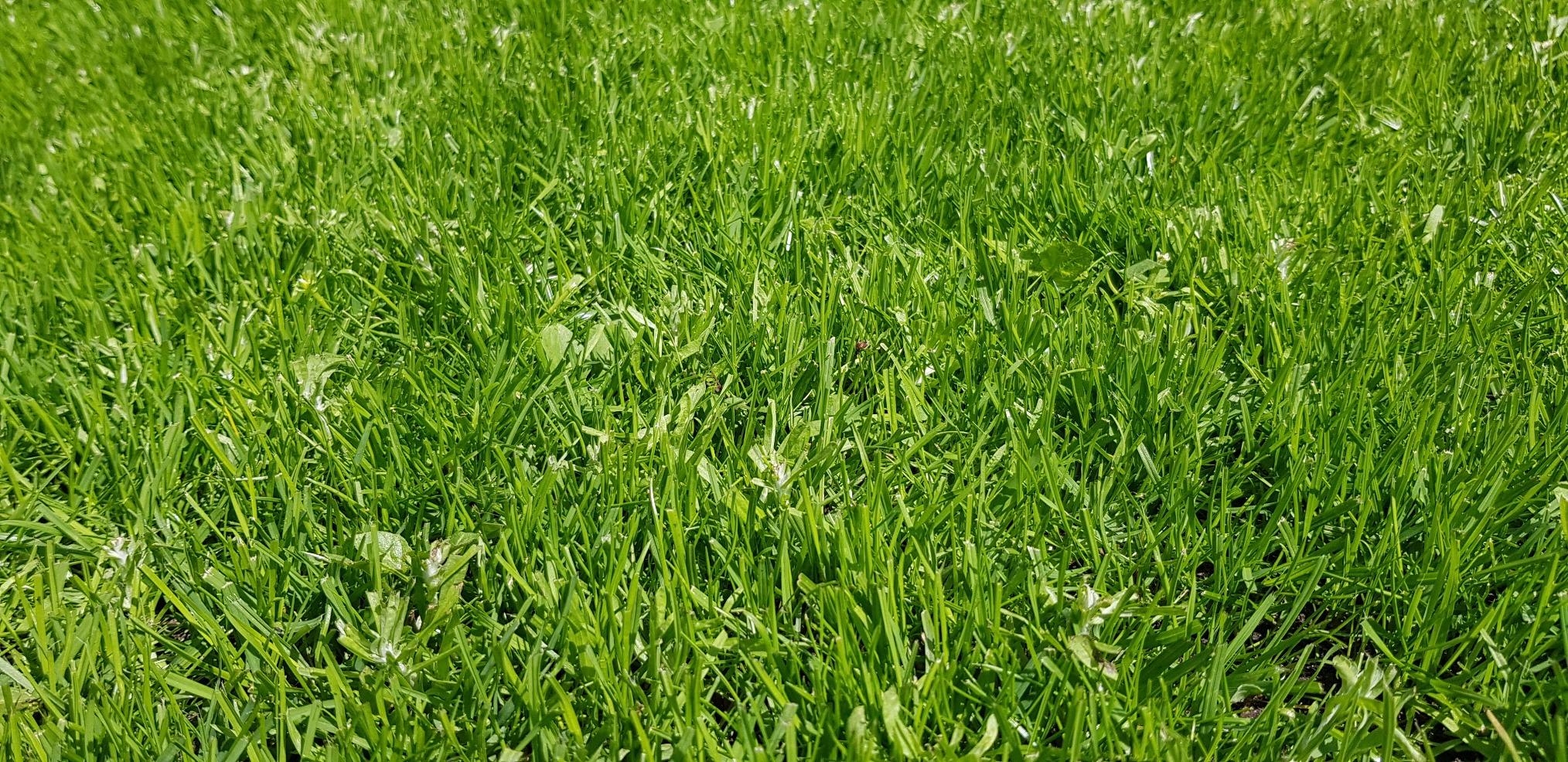 Im Schatten super, in Sonne zickig