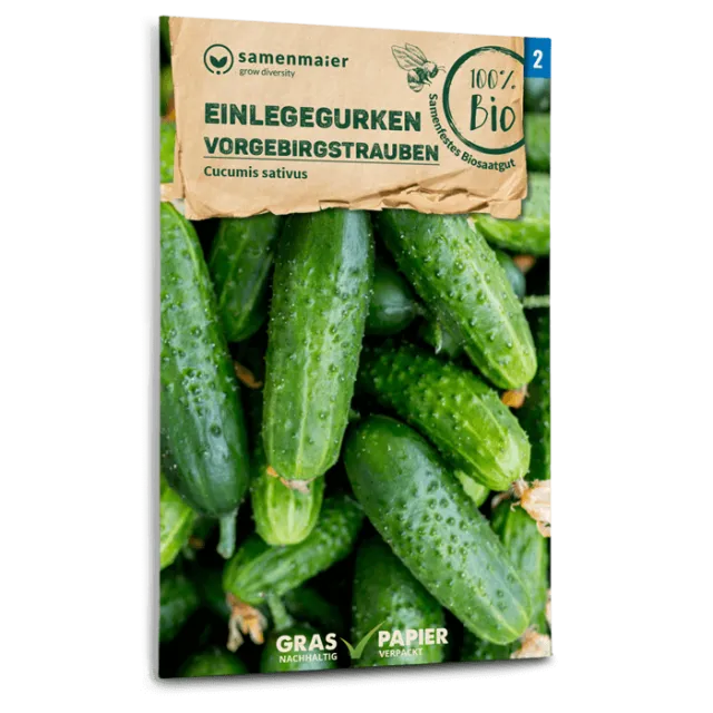 samen-maier-bio-einlegegurken-vorgebirgstrauben-saatgut image 1