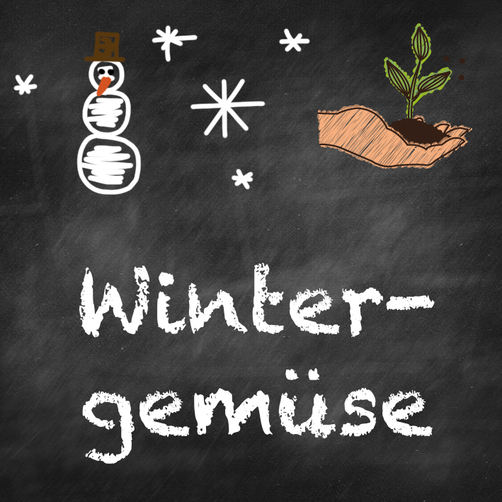 samen-maier-beet-box-wintergem-se-saatgut-set-mit-5-sorten image 7