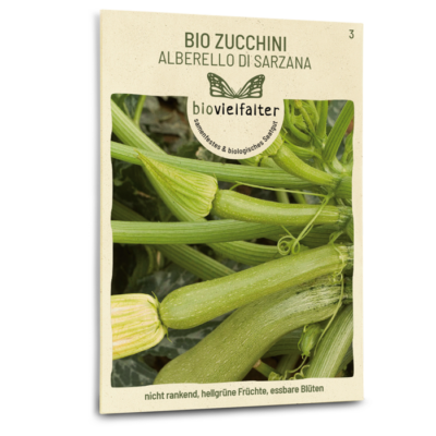 samen-maier-bio-zucchini-alberello-di-sarzana-zucchinisamen image 3