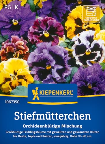 kiepenkerl-stiefm-tterchen-orchideenbl-tige-mischung-1067350-saatgut image 6