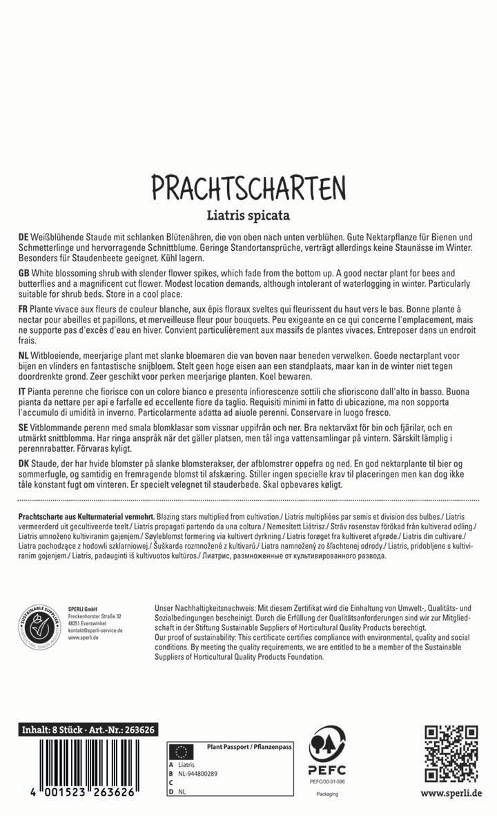 sperli-prachtscharte-wei-263626-winterharte-blumenzwiebeln-f-r-staudenbeet image 2
