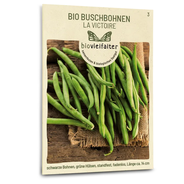samen-maier-bio-buschbohnen-la-victoire-saatgut image 1