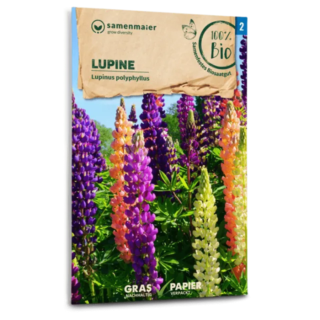 samen-maier-bio-lupine-blumensaatgut-80-120-cm image 1
