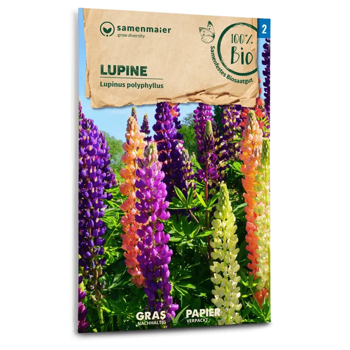 samen-maier-bio-lupine-blumensaatgut-80-120-cm image 1