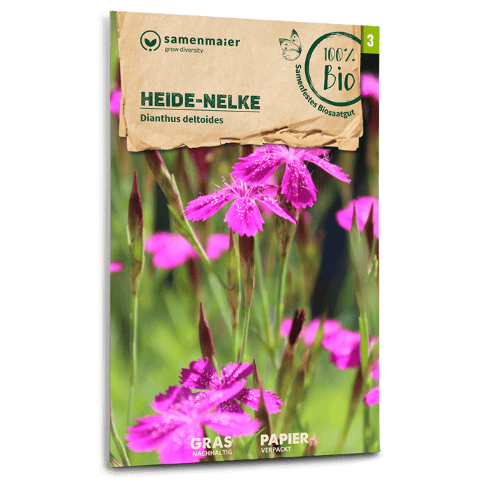 samen-maier-bio-wildblumen-heide-nelke-blumensamen-rosa image 1