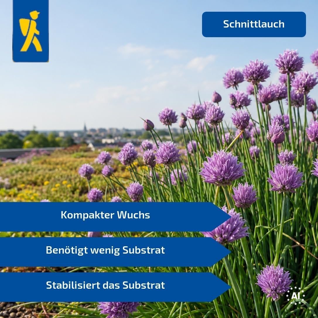 kiepenkerl-dachbegr-nung-kr-utermix-801912-kr-utersaat image 5
