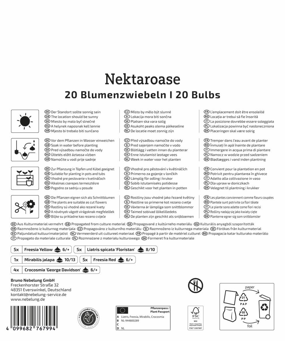 kiepenkerl-mega-pack-blumenzwiebelmischung-nektaroase-bienenmix-juli-oktober image 2