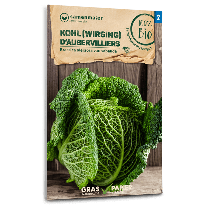 samen-maier-bio-wirsing-d-aubervilliers-kohlsamen image 1