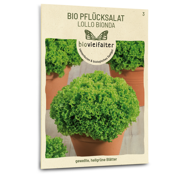 samen-maier-bio-pfl-cksalat-lollo-bionda-saatgut-f-r-folgesaaten image 1